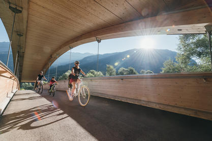 Familienausflug mit dem Rad © TVB Osttirol / Sam Strauss