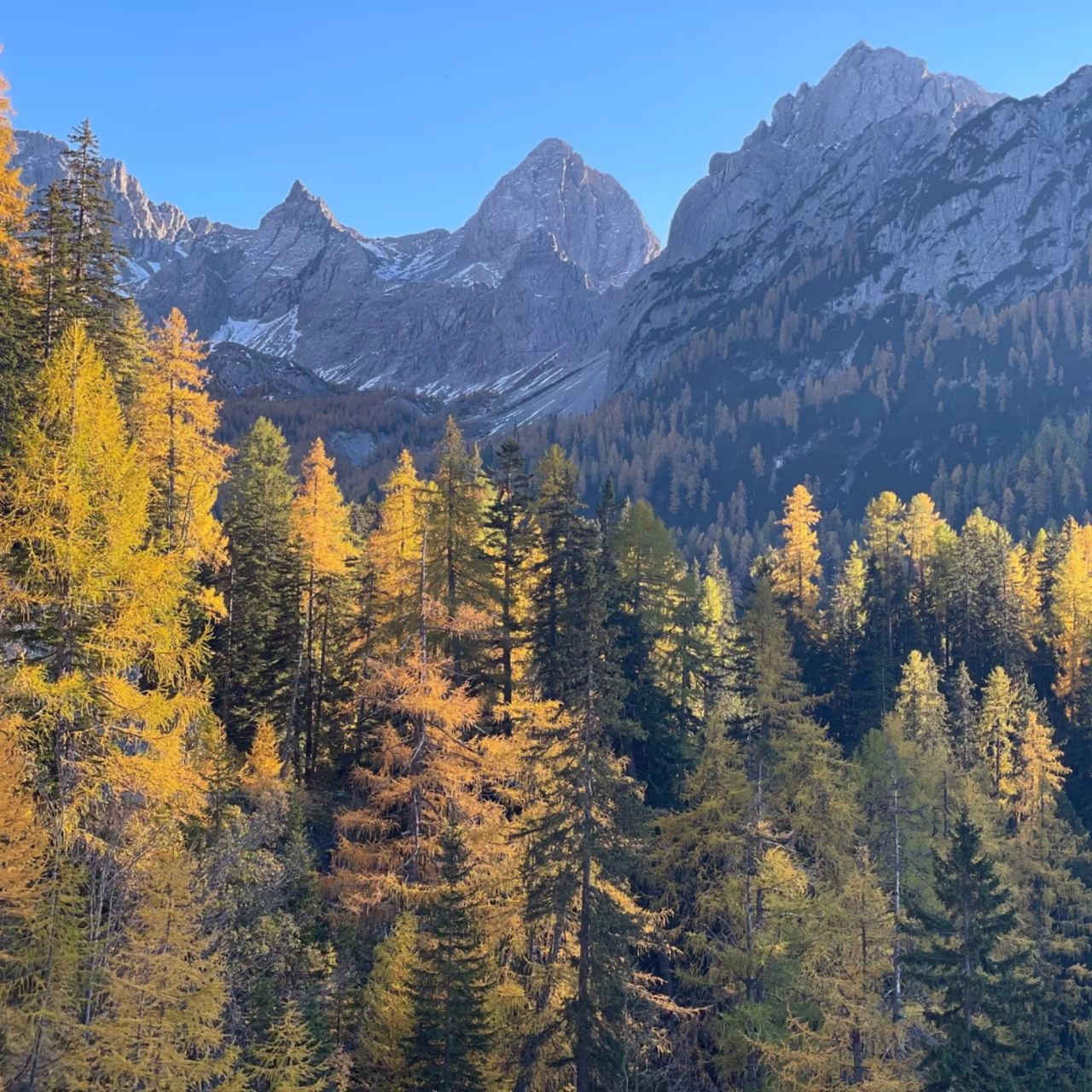 Herbst pur - Berge "zum Greifen nah" © azett kommunikation