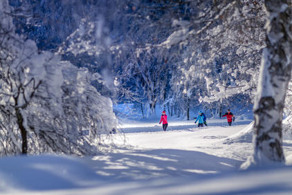 Wintergenuss pur - Rundloipe Lavant © TVB Osttirol / Martin Lugger 