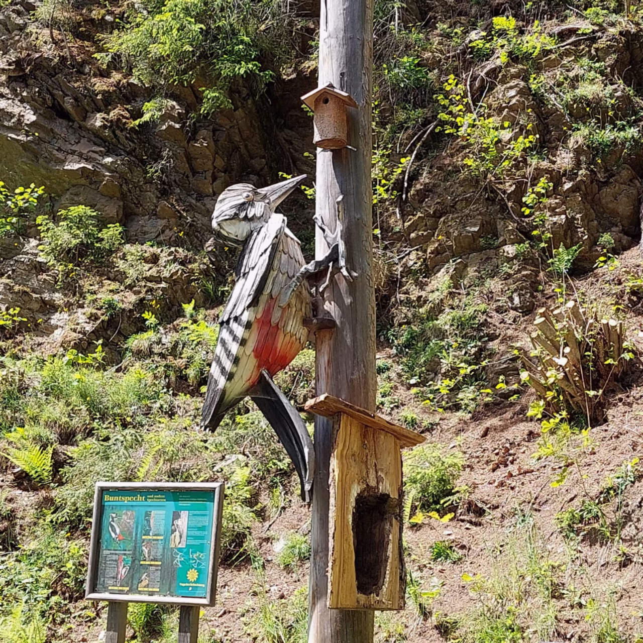 Vogelerlebenisweg Oberlienz & Thurn Geschnitzter Specht an Holzsäule beim Vogelerlebnisweg in Oberlienz
