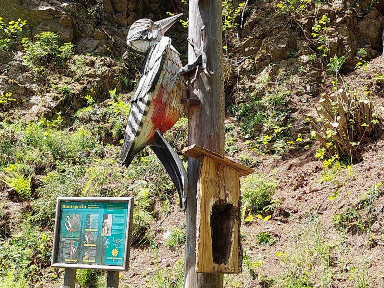 Geschnitzter Specht an Holzsäule beim Vogelerlebnisweg in Oberlienz