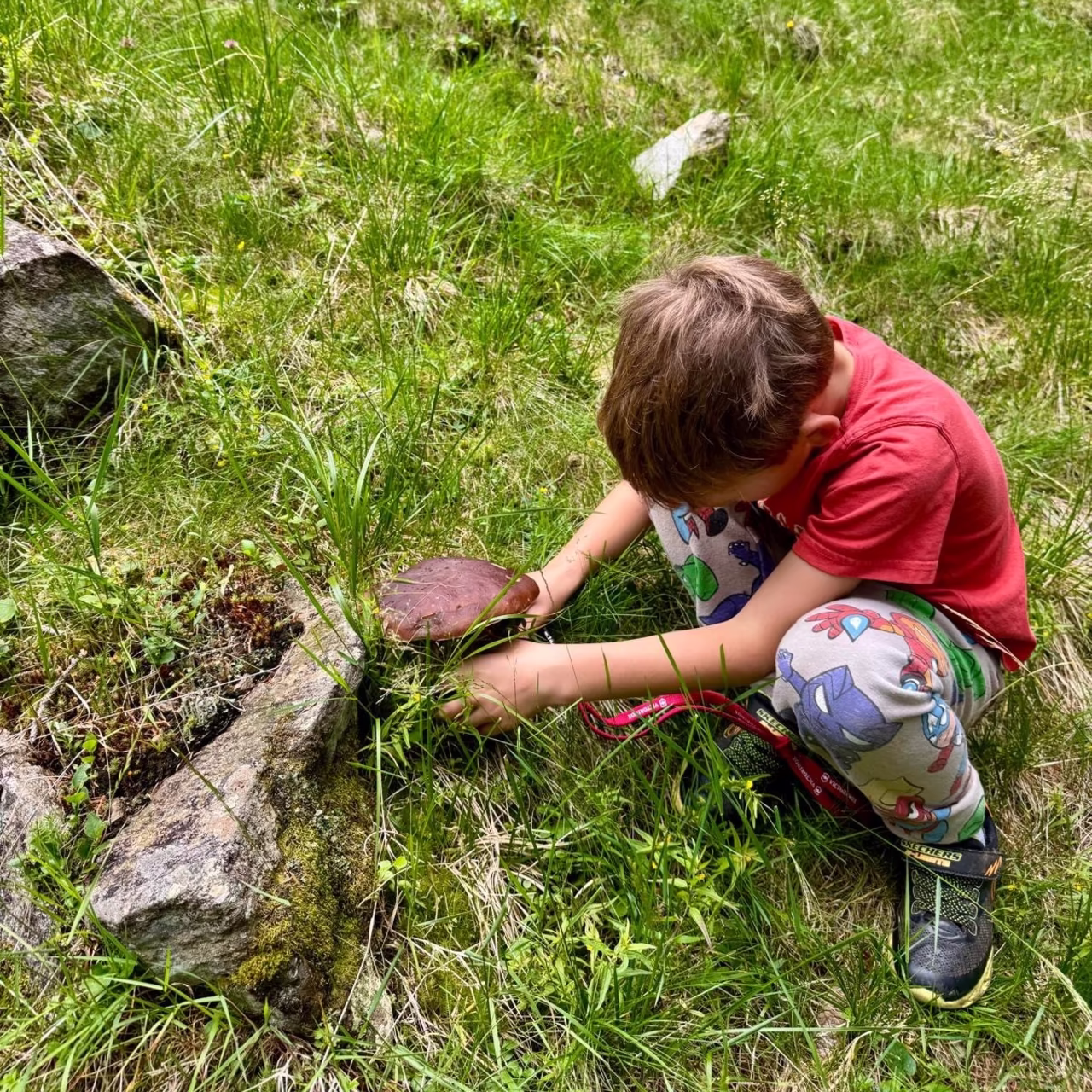 Pilzsammeln © Thomas Winkler Junge mit Steinpilz © Thomas Winkler