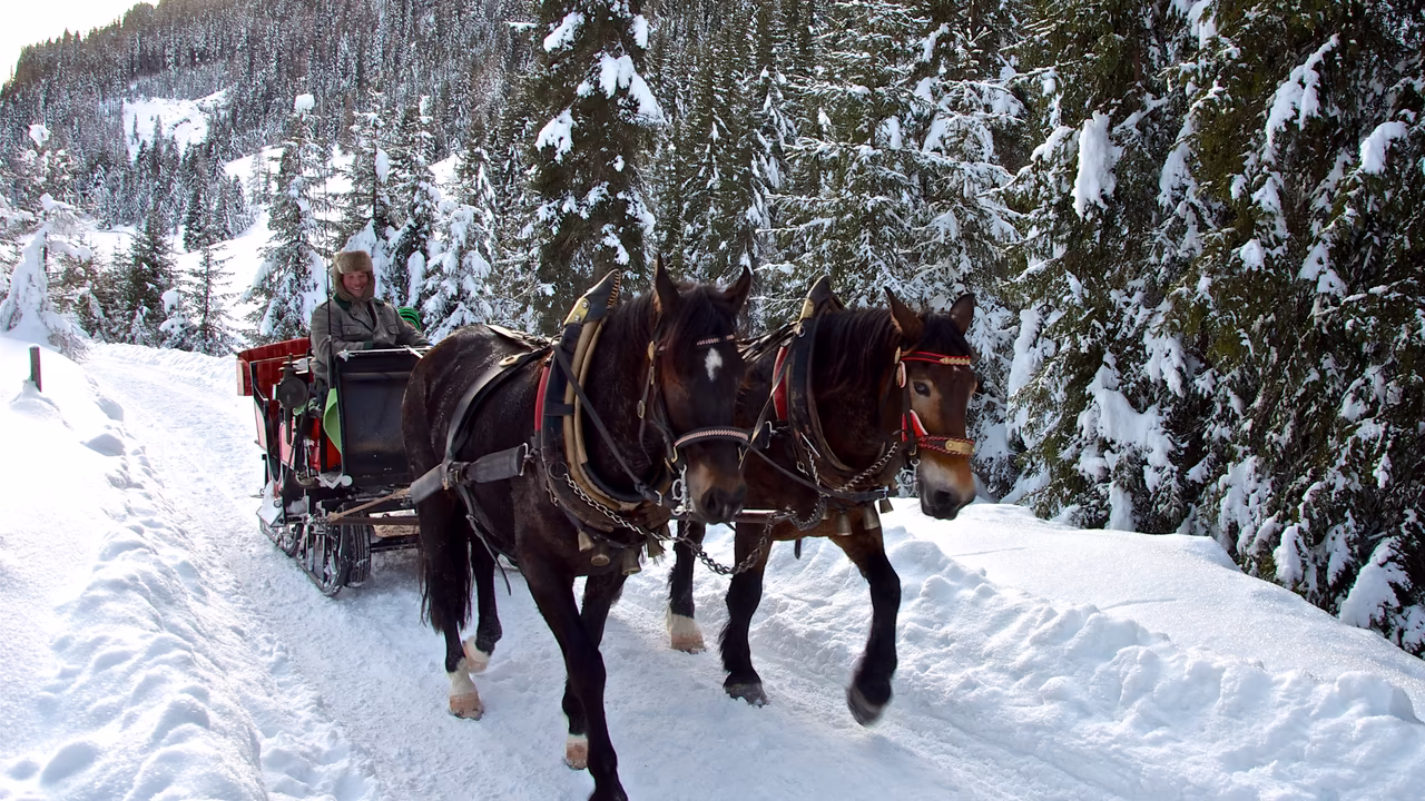 Pferdekutschenfahrt im Winter in Ausservillgraten © TVB Osttiorl / Jakob Weitlaner