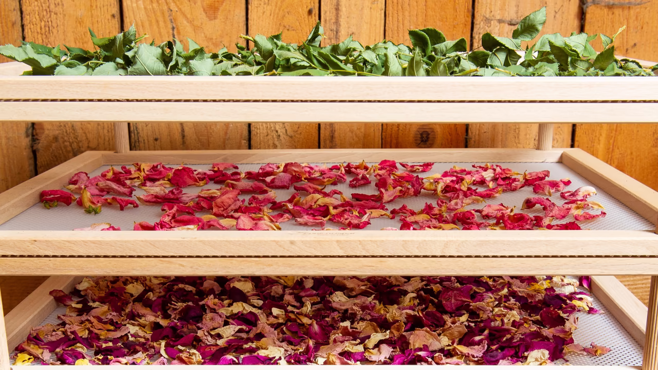 Kräuter und Blüten beim Trocknen © Christine Wallensteiner