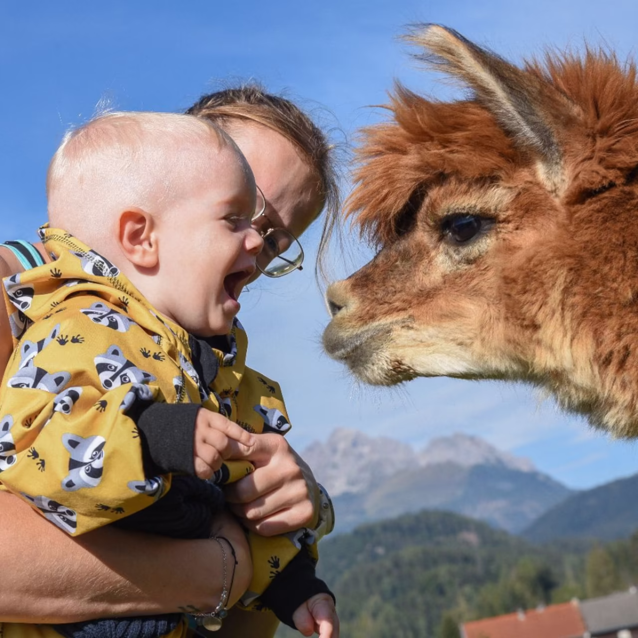 Besonderes Erlebnis - Lama-Trekking © Sidonie Striemitzer